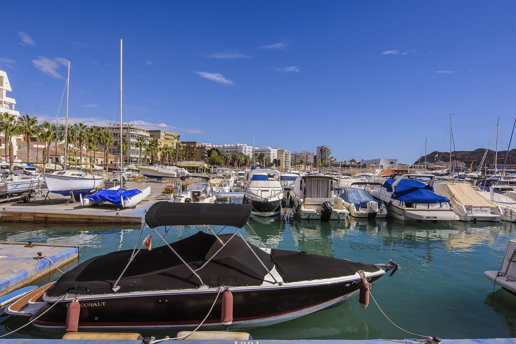 Aguilas Delicias Piscina Wifi Ac Parking Gratis المظهر الخارجي الصورة