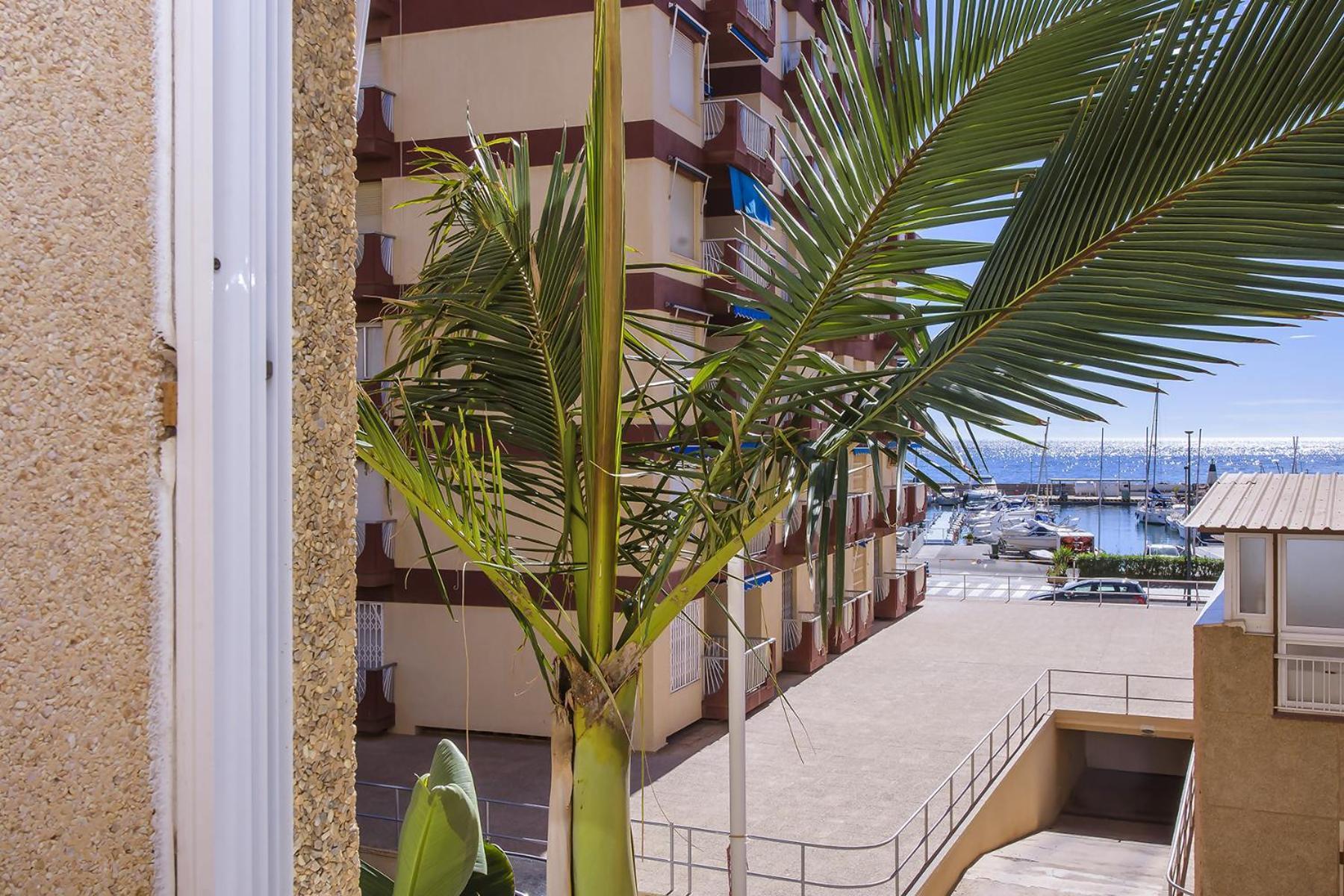 Aguilas Delicias Piscina Wifi Ac Parking Gratis المظهر الخارجي الصورة